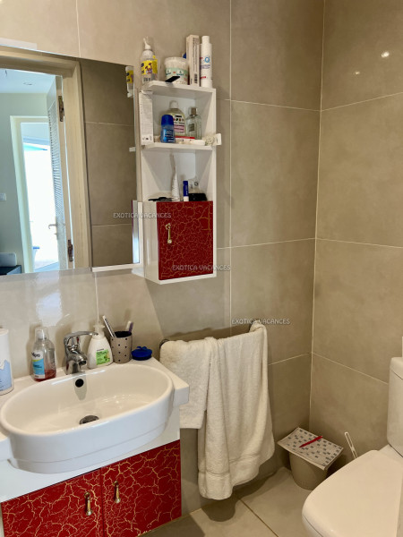 Image 9 de l'annonce