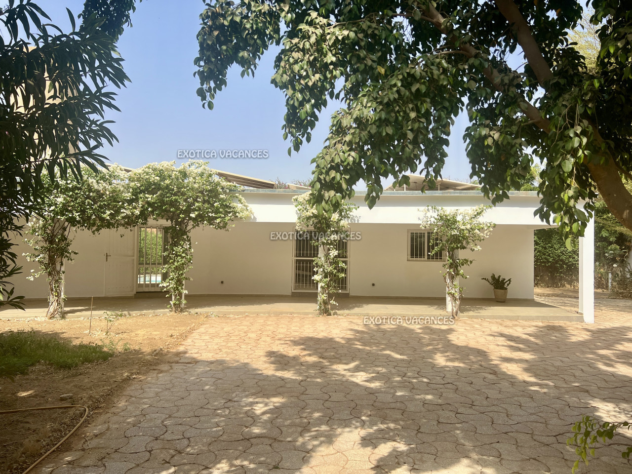 Immobilier paradisiaque au Sénégal