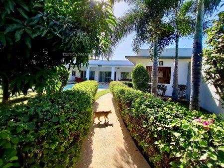 Image 10 de l'annonce