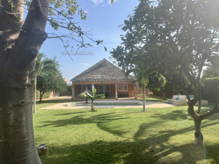 Image de l'annonce V101NGP