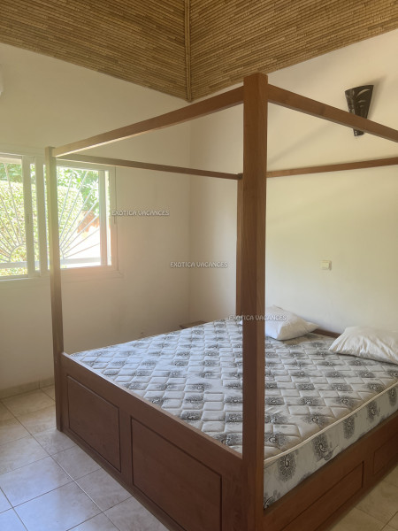 Image 5 de l'annonce