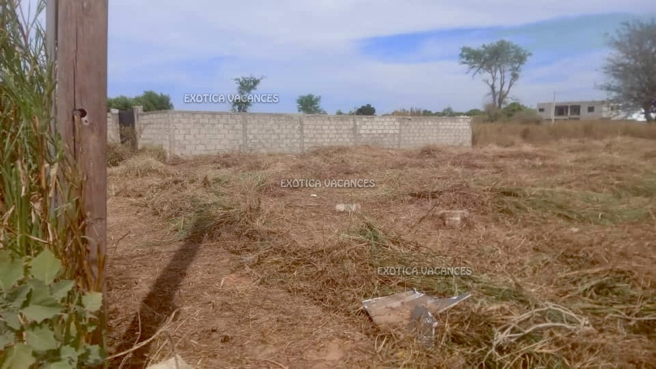 Immobilier paradisiaque au Sénégal