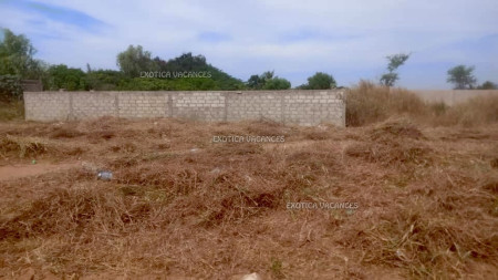 Voir photo 2 annonce TNG300