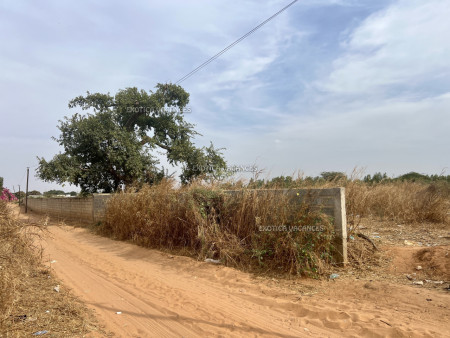 Image 3 de l'annonce