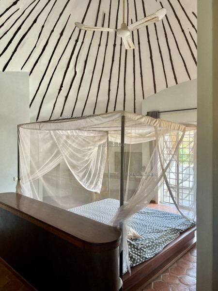 Image 5 de l'annonce