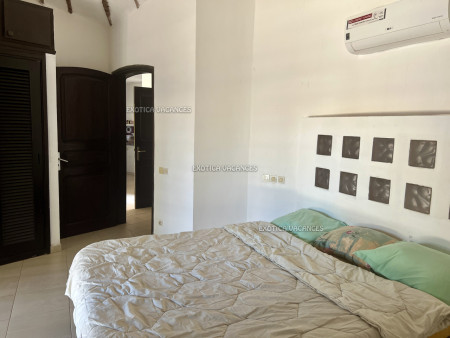 Image 8 de l'annonce