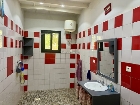 Image 7 de l'annonce