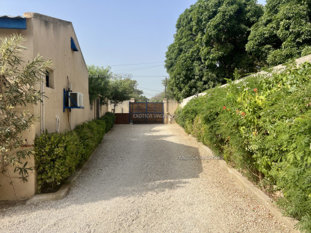 Image 8 de l'annonce