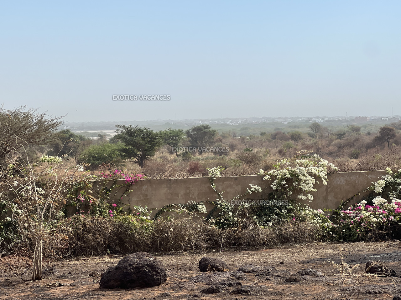 Immobilier paradisiaque au Sénégal