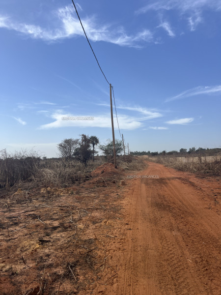 Image 6 de l'annonce