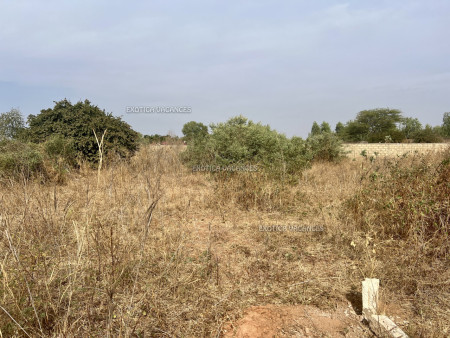 Voir photo 2 annonce T299NG