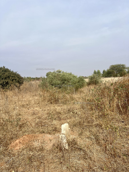 Image 4 de l'annonce