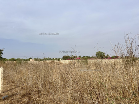 Photo annonce ref. T299NG