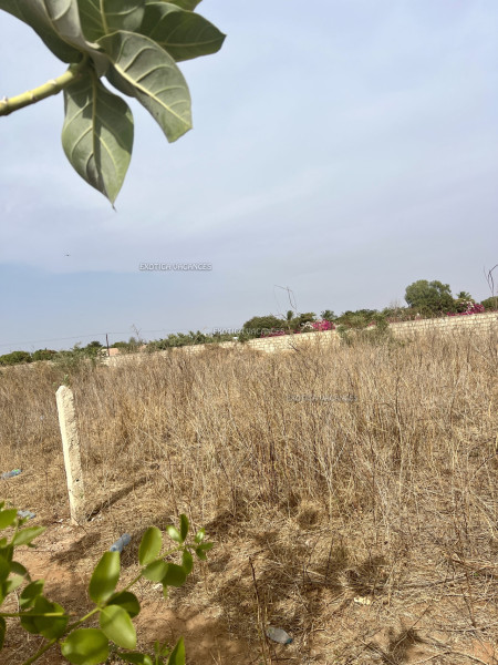 Image 3 de l'annonce