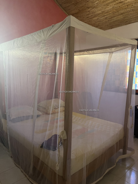 Image 5 de l'annonce