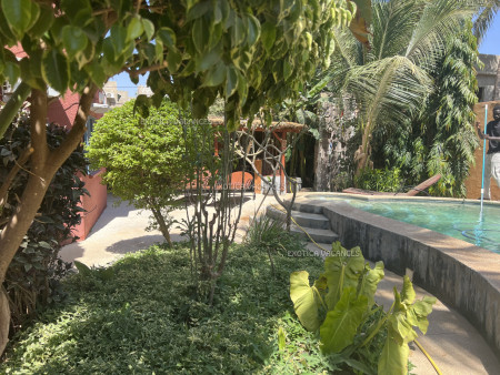 Voir photo 2 annonce V045SNN