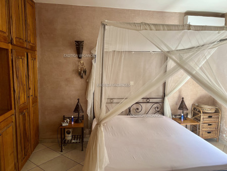 Image 10 de l'annonce