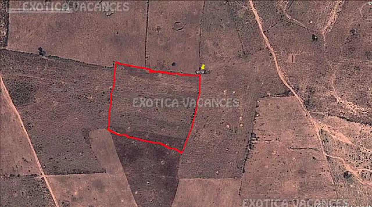 Immobilier paradisiaque au Sénégal