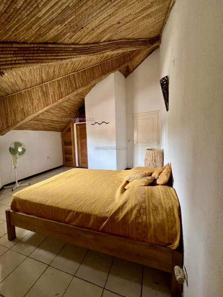 Image 7 de l'annonce