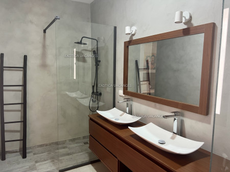 Image 5 de l'annonce