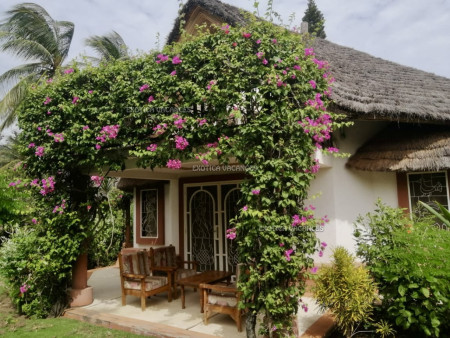 Photo annonce ref. V31651TR