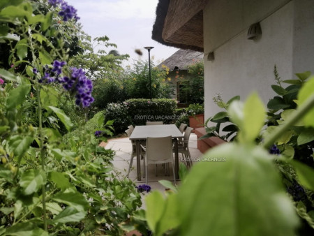 Image 10 de l'annonce