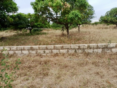 Photo annonce ref. TKY293